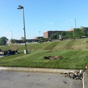 Meet your Posher, Ruben